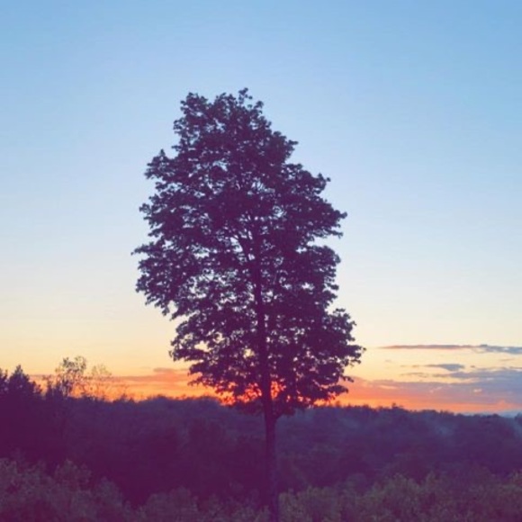 Meet your Posher, John - Picture 1 of 1